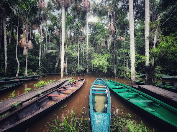 Reserva Nacional Tambopata 3