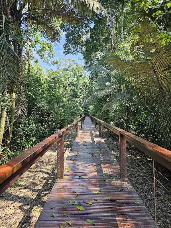 Reserva Nacional Tambopata 2
