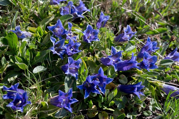The Burren Visitor Centre & Cafe