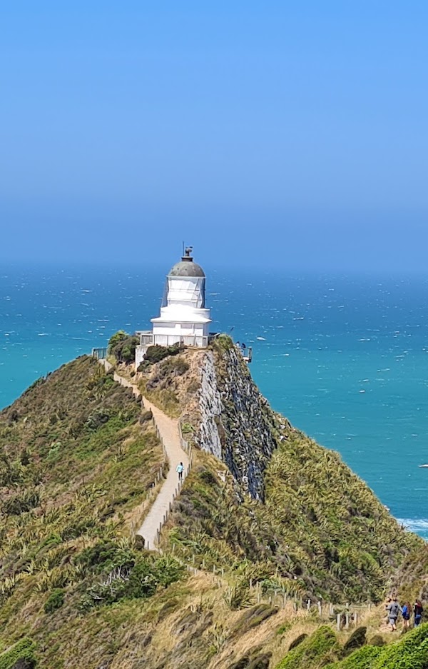 Nugget Point Lighthouse 5
