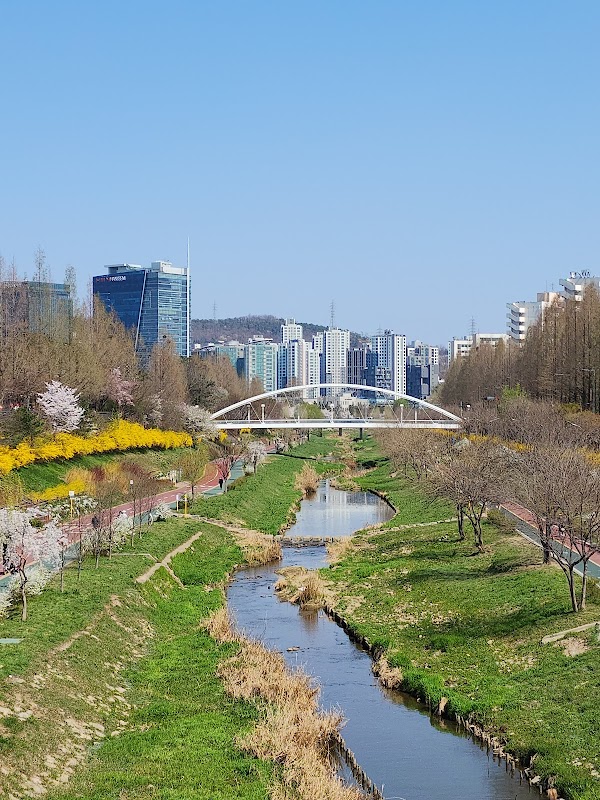 Bulgwangcheon Stream 1
