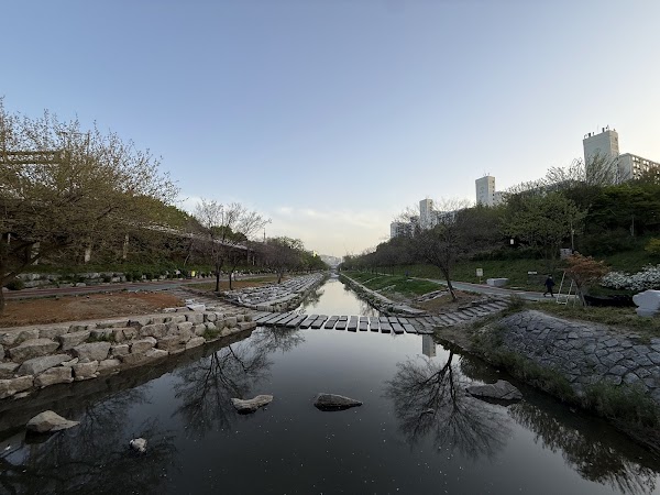 Bulgwangcheon Stream 5