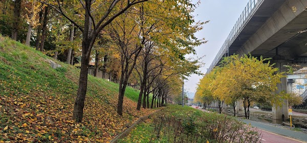 Bulgwangcheon Stream 3
