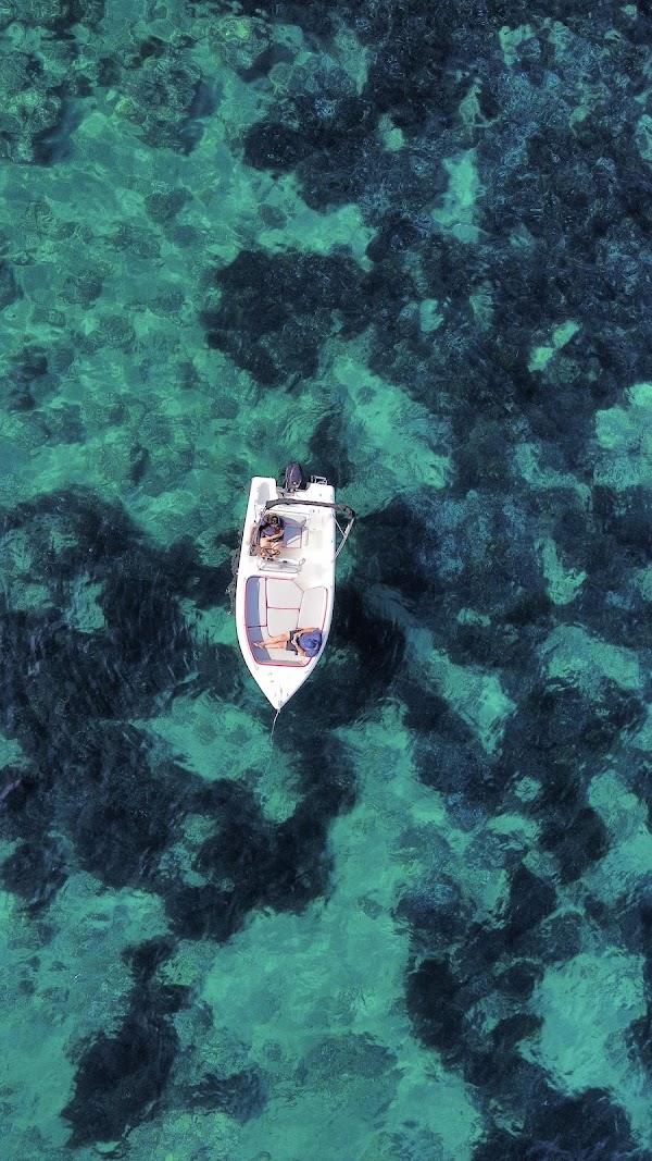 S'embat Boats