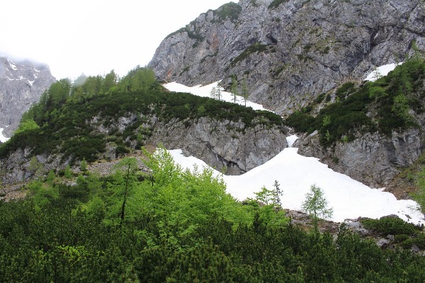 Source of River Savinja 3