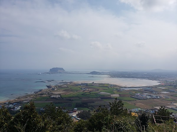 Jimibong