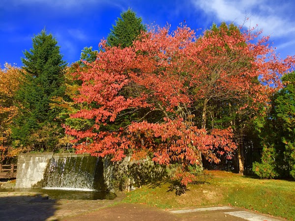 Meisui Community Park