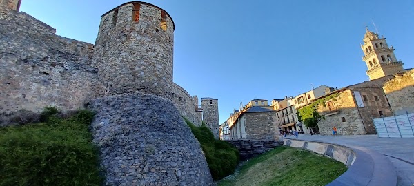 Leon 37