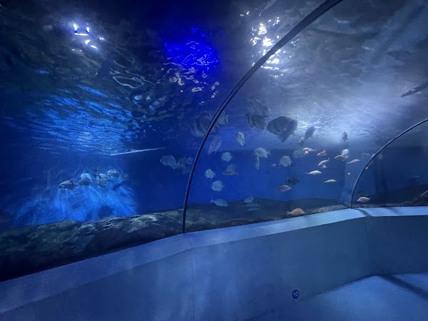 Nanjing Underwater World 5