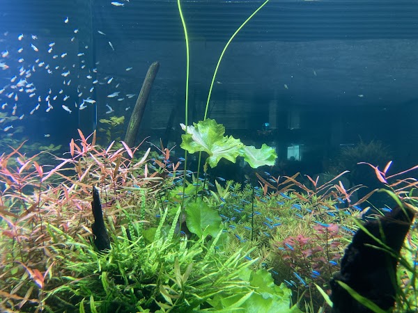 Nanjing Underwater World 4