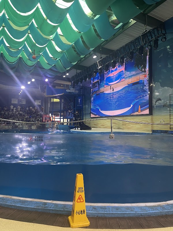 Nanjing Underwater World 3