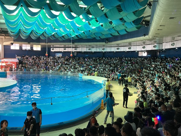 Nanjing Underwater World 2