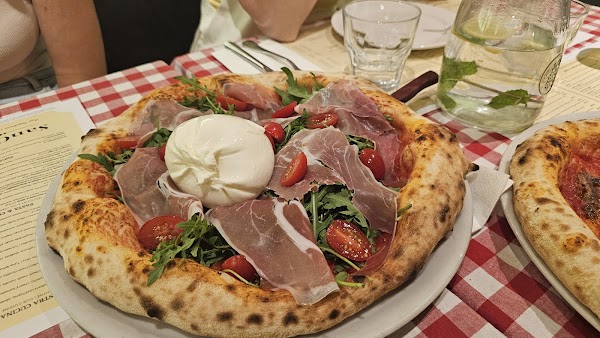 San Carlo Dittrichova 5