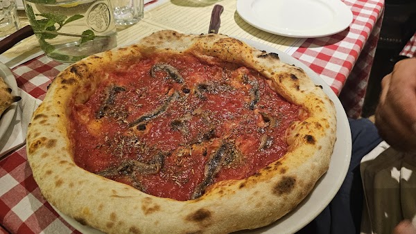 San Carlo Dittrichova 4