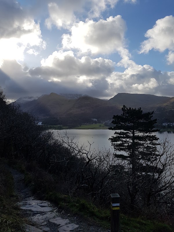 Coed Dinorwig