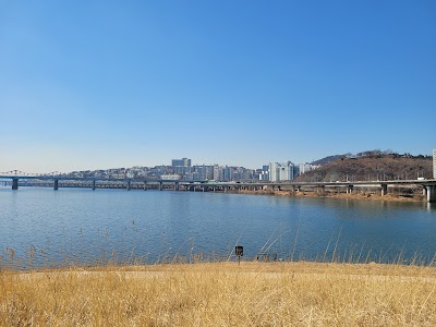 Seoul Forest Hangang Bike Road Park 1