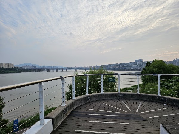 Seoul Forest Hangang Bike Road Park 4