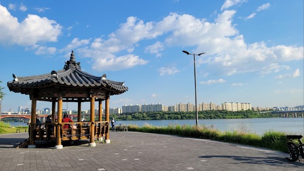 Seoul Forest Hangang Bike Road Park 3