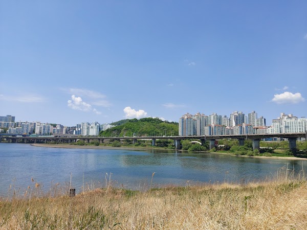 Seoul Forest Hangang Bike Road Park 2