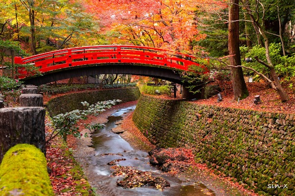 Kitano Tenmangu Momiji-en 1