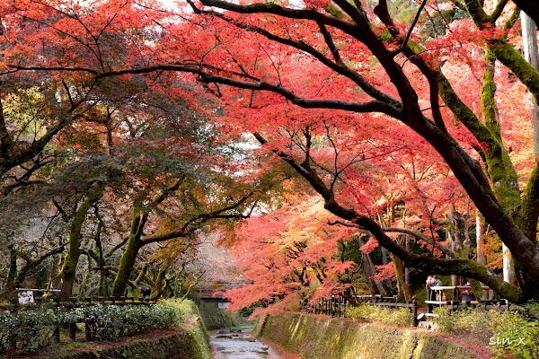 Kitano Tenmangu Momiji-en 3