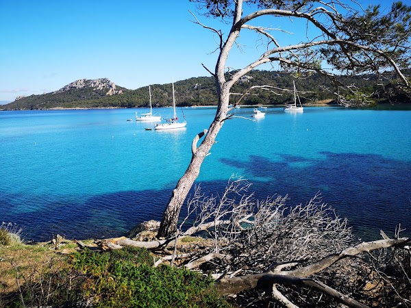 Porquerolles 5