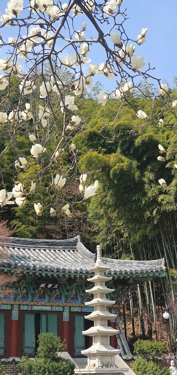 성암사 4
