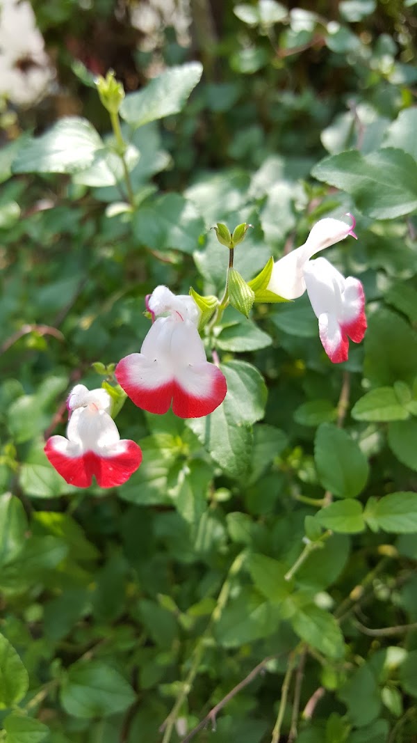 성암사 3