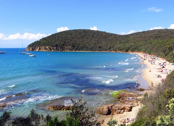 Cala Violina Scarlino