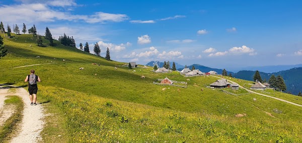 Slovenien 82