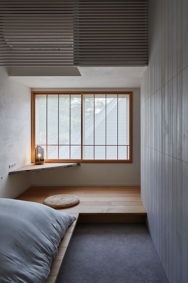 Toutou｜Gallery 4