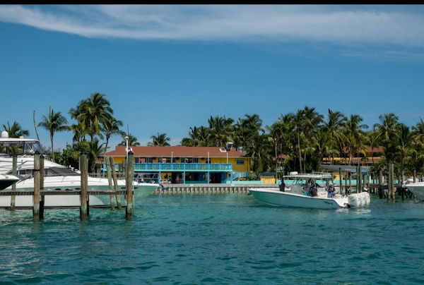 Bimini 5