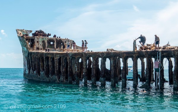 Bimini 4