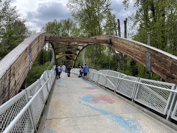 Mayfly Bridge 1