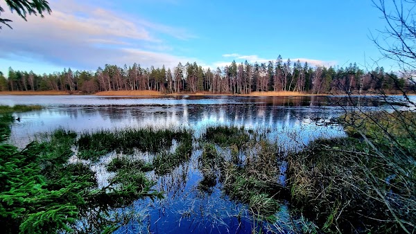 Hunneberg 1