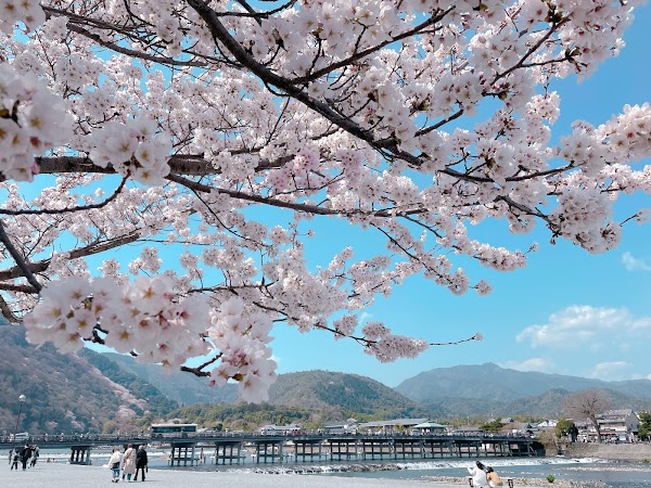 Arashiyama Park Nakanoshima Area 3