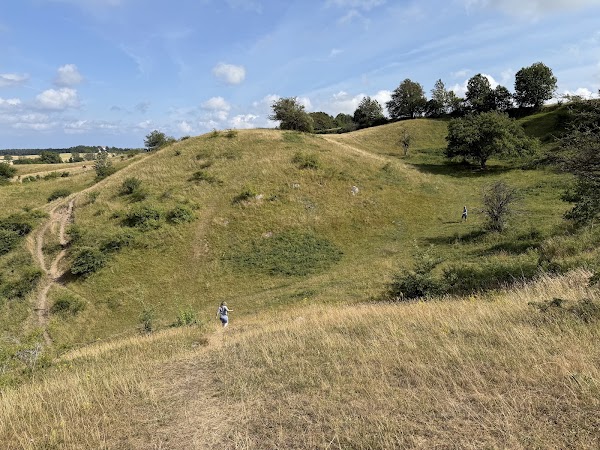 The Hills of Brosarp 5