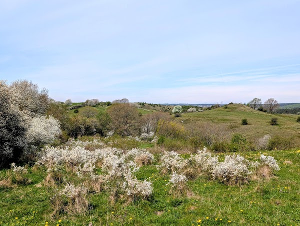 The Hills of Brosarp 3