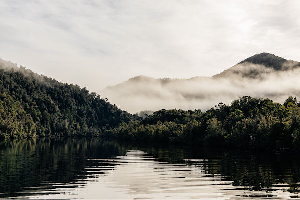 Gordon River Cruises