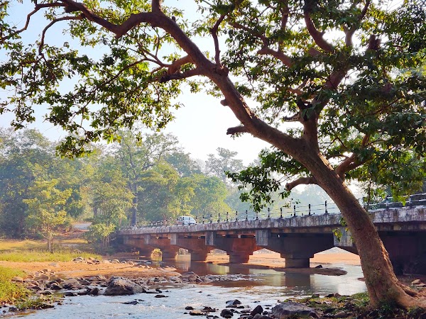 Dantewada 4