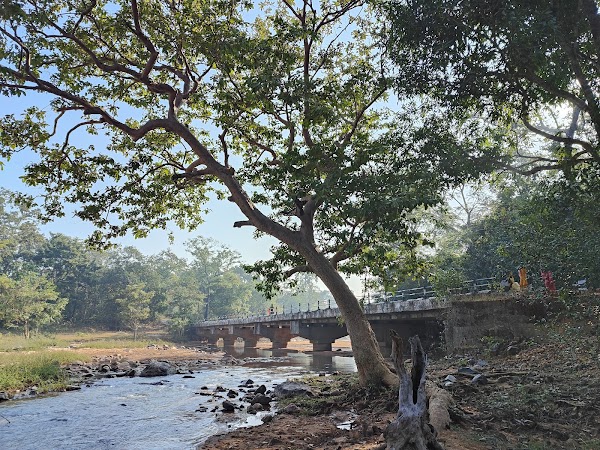 Dantewada 3