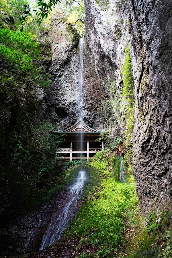 Gakuenji Temple 1