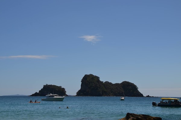 Cathedral Cove Walk 1