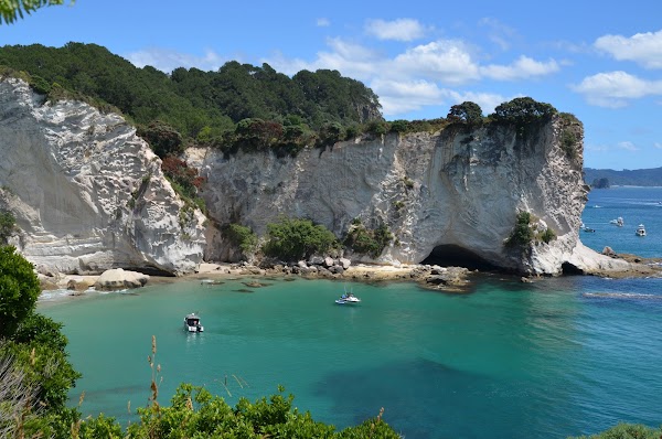 Cathedral Cove Walk 5
