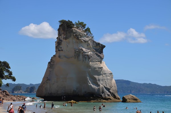 Cathedral Cove Walk 3