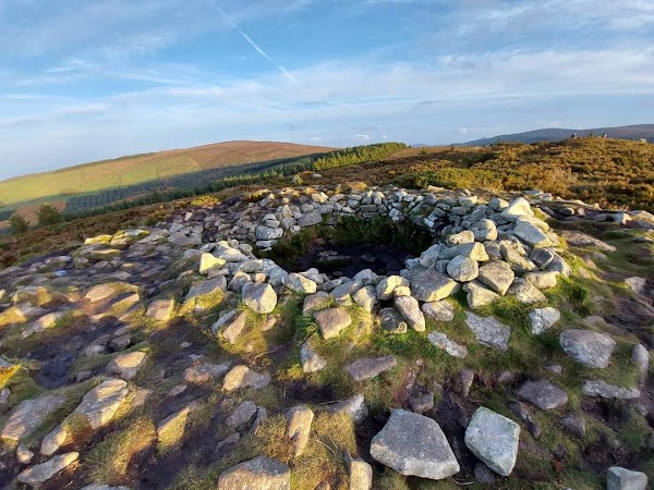 Tibradden Wood
