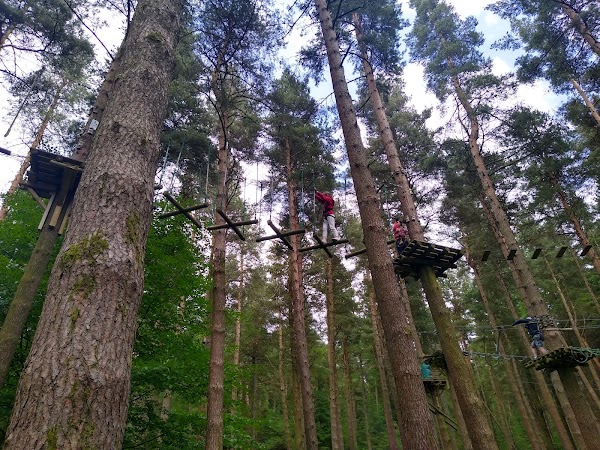 Tibradden Wood 2
