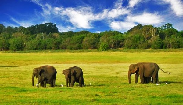 Gal Oya Valley National Park 2