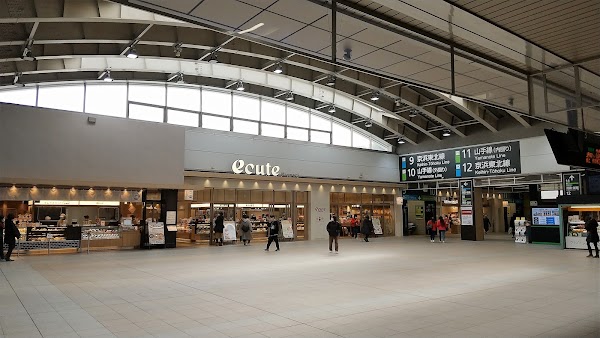 Nippori Station 1