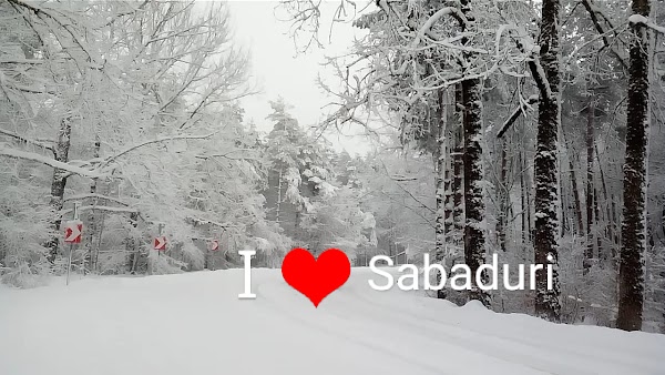 Sabaduri Forest 1
